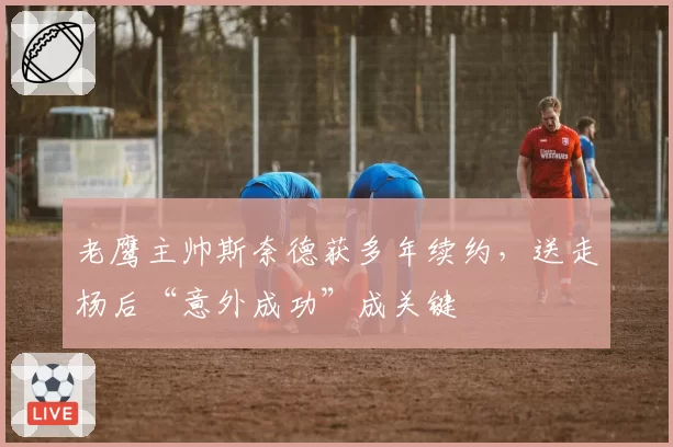 老鹰主帅斯奈德获多年续约，送走杨后“意外成功”成关键