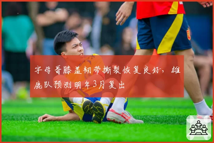 字母哥膝盖韧带撕裂恢复良好，雄鹿队预测明年3月复出