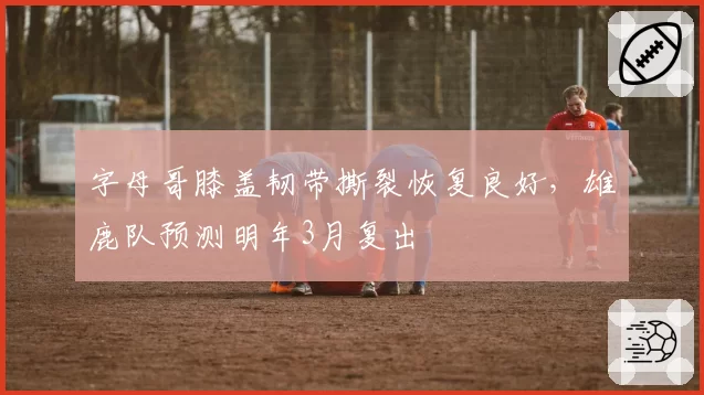 字母哥膝盖韧带撕裂恢复良好，雄鹿队预测明年3月复出
