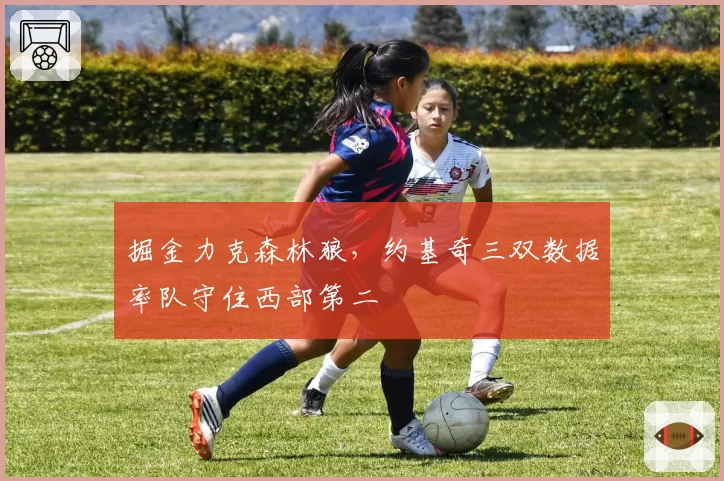 掘金力克森林狼，约基奇三双数据率队守住西部第二